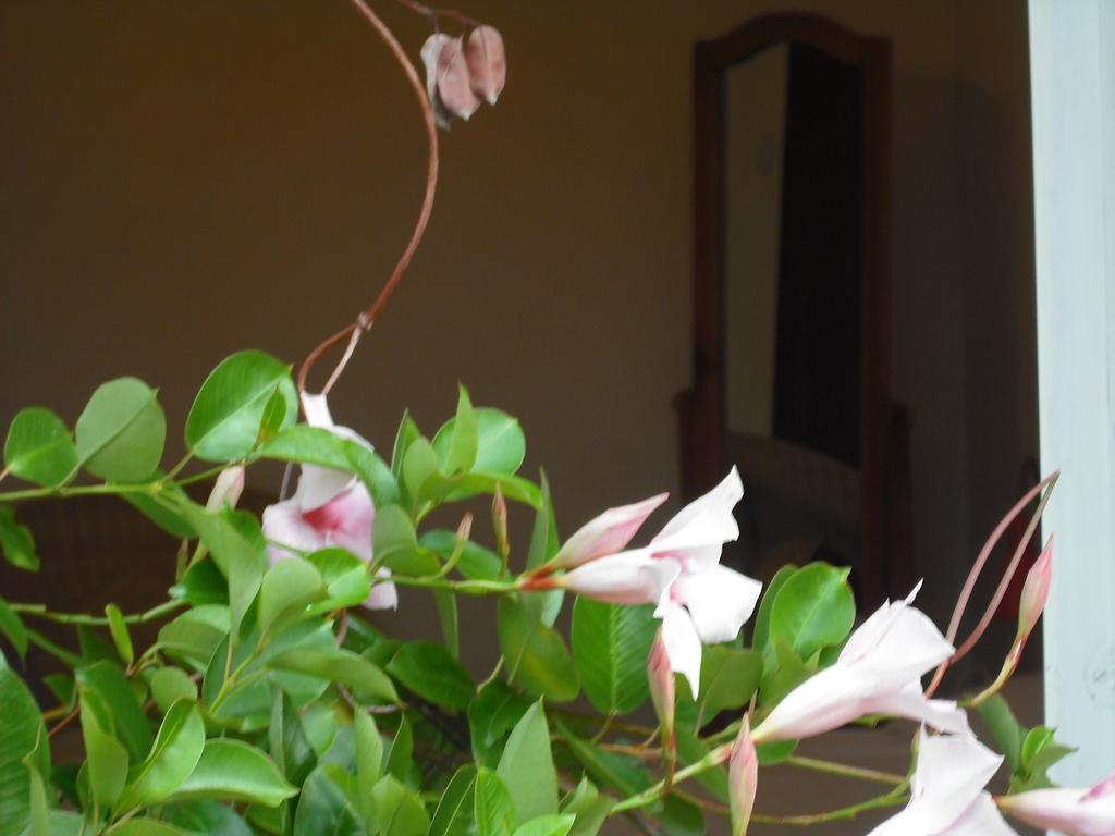 Apartment Casa Martello